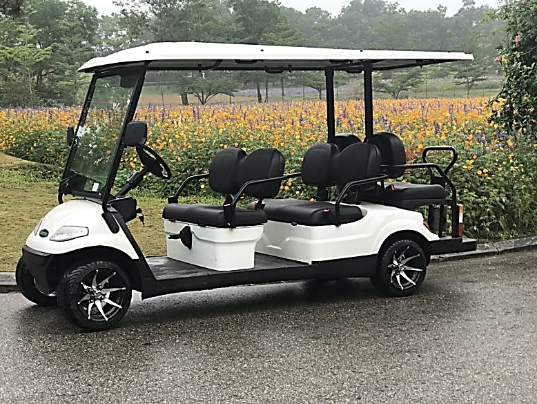 Du lịch với xe điện